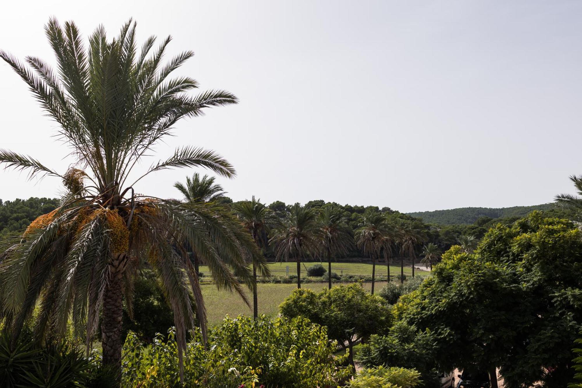 Hotel Llucatx Menorca à Son Parc Chambre photo